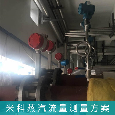 渦街流量計飽和蒸汽計量系統解決方案